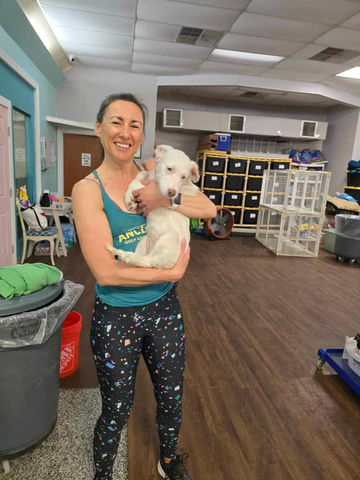 Volunteers caring for rescued animals at Runaways Animal Rescue in Pasco County Florida