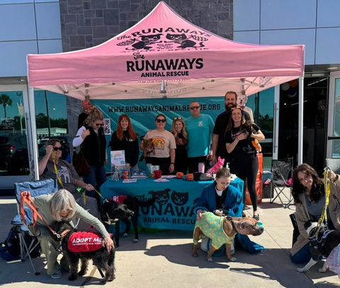 Volunteers caring for rescued animals at Runaways Animal Rescue in Pasco County Florida