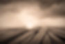 Path_edited.jpg