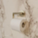 toiletrolhouder zonder klep in de kleur geborsteld goud met een wc rol