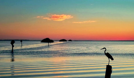 70CF1315-37A3-4A29-9028-46F3232DE358