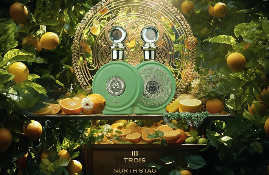 Paris Corner Trois III expressions, north stag 100ml
