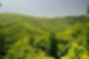 Moonlight Trail-19.jpg