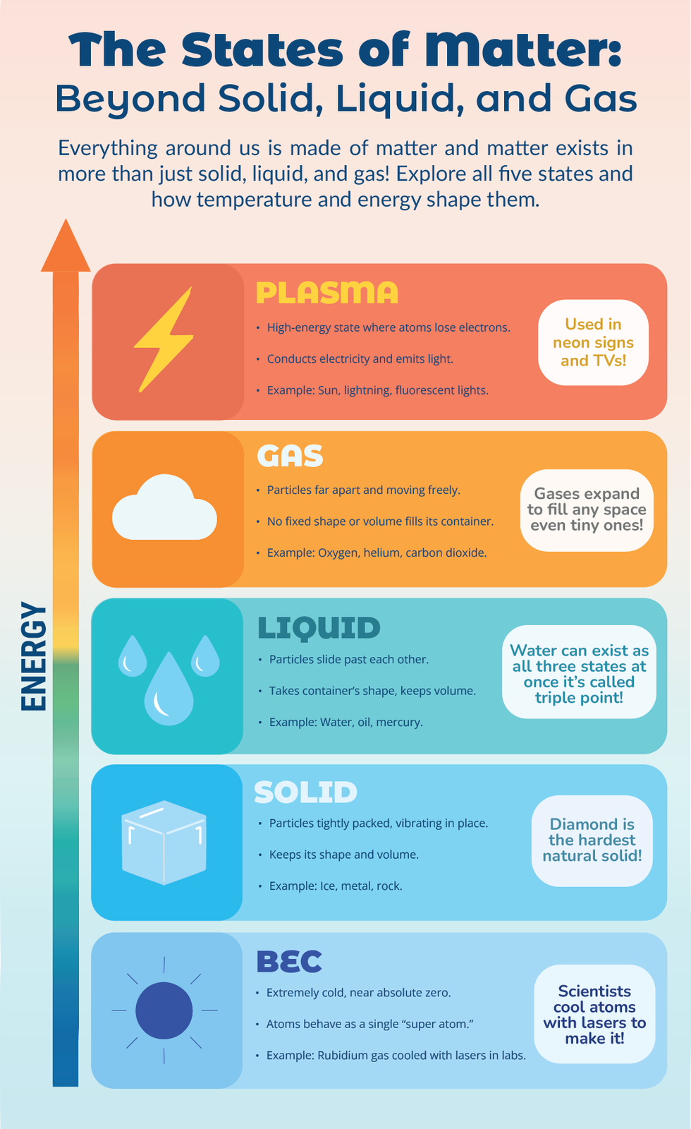 Infographic Poster