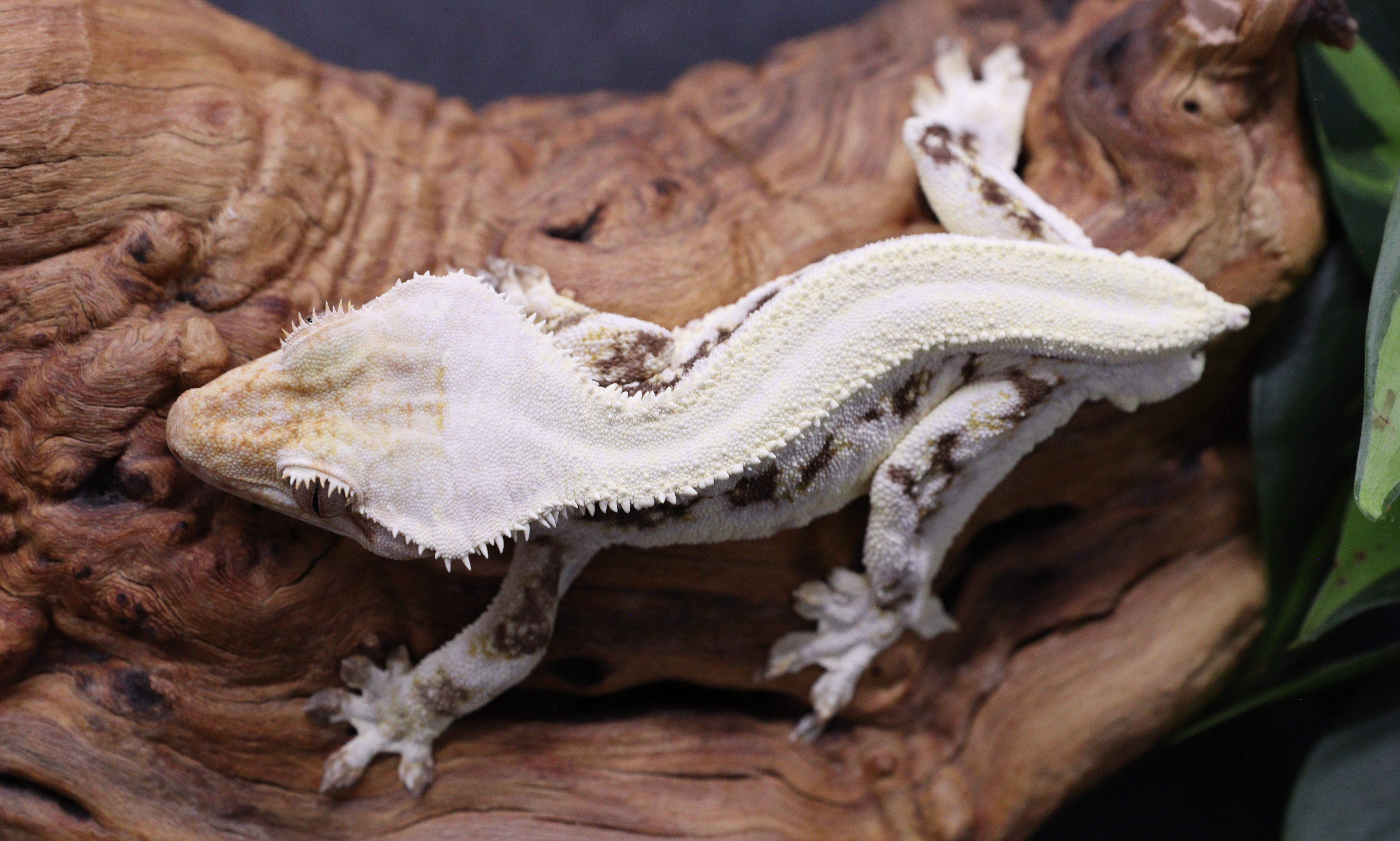 Zoolander — photo 6