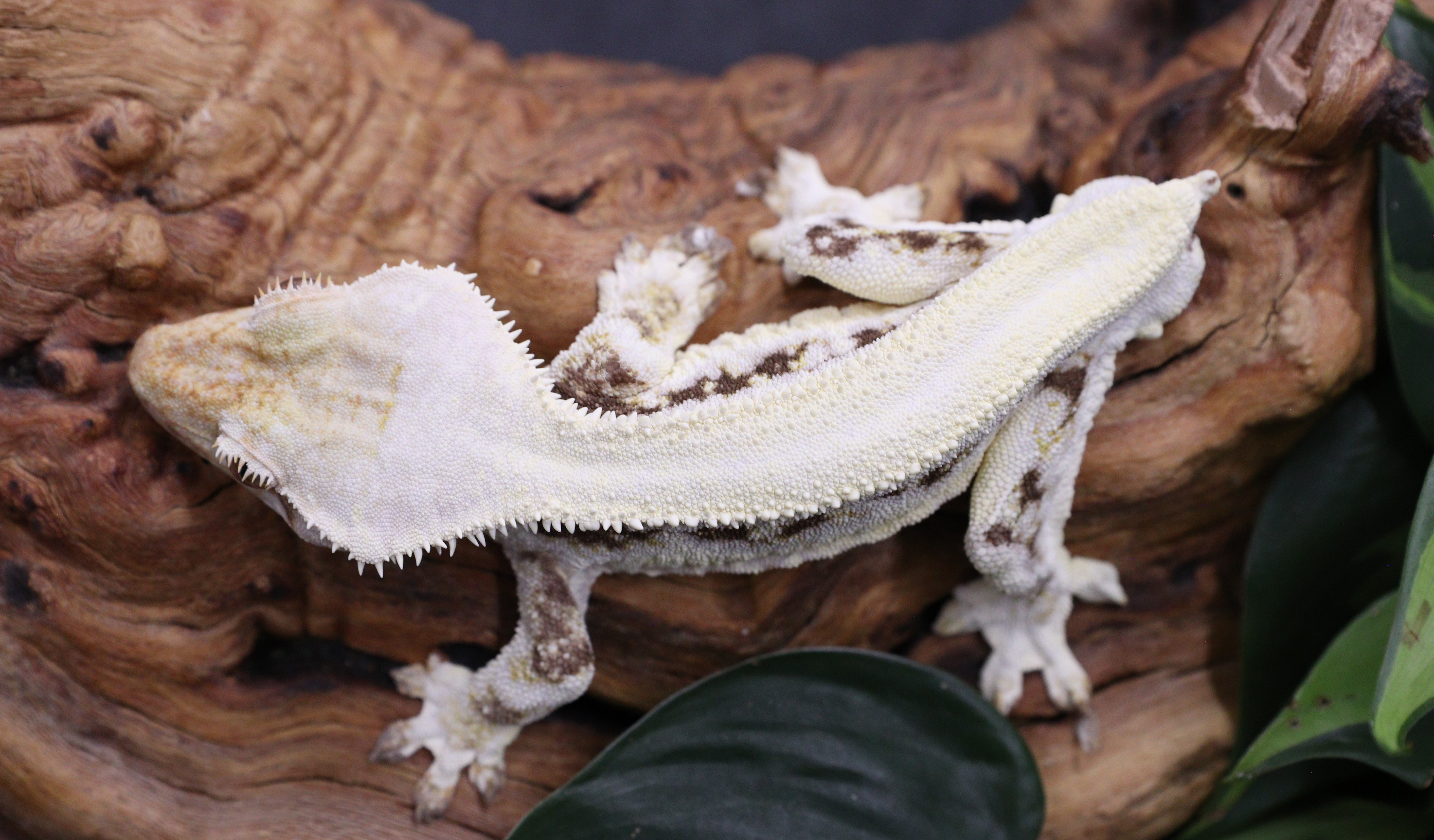 Zoolander — photo 5