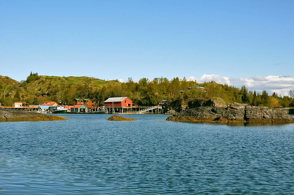 Halibut Cove Rentals