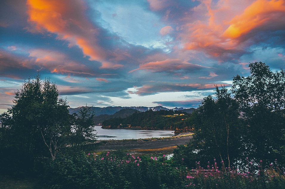 Halibut Cove Rentals