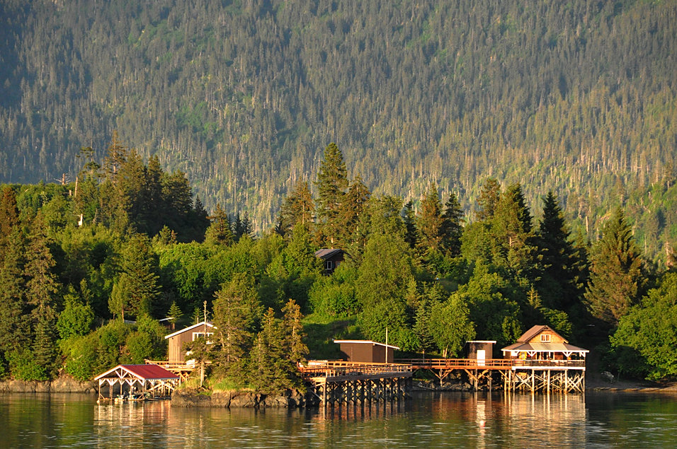 Halibut Cove Rentals