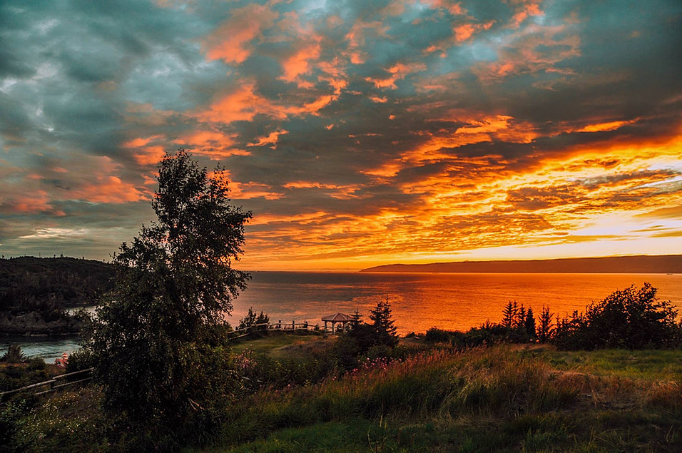 Halibut Cove Rentals