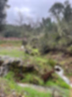 Nogah Lord - Central Portugal