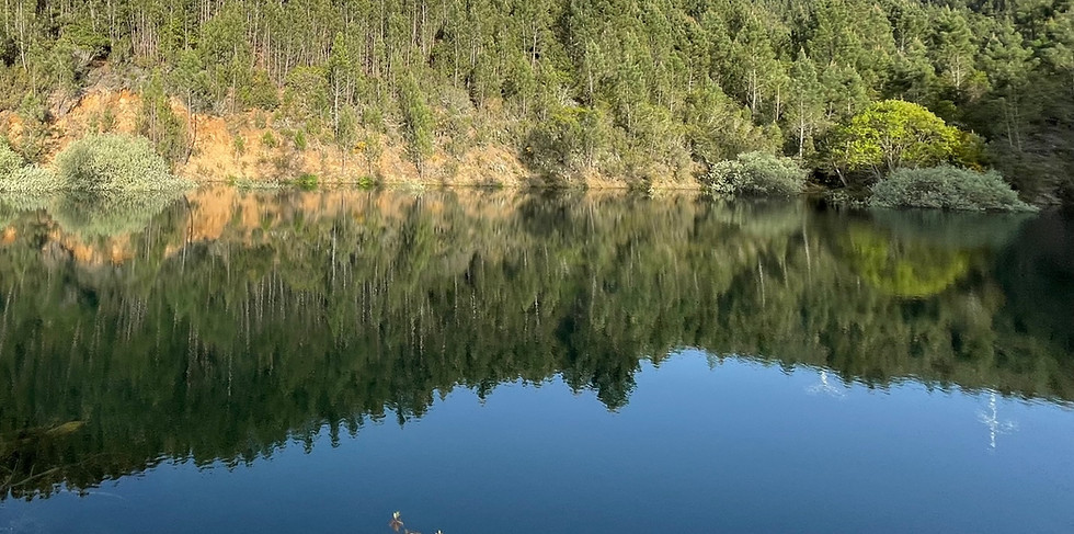 Nogah Lord - Central Portugal