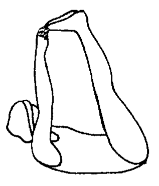 מדיטציה בתנועה מאת נגהה לורד
