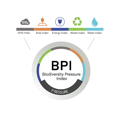 BPI-768x745-1.webp