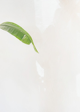 LINE_ALBUM_flux_hp_211205_5_edited.jpg