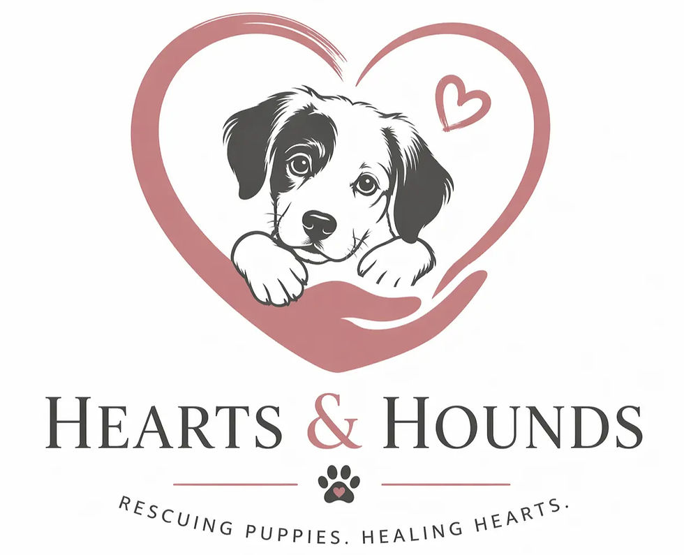 Logo 1_edited.jpg