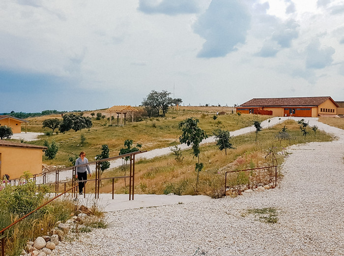 Pildisamine plaadikujunduse tarbeks