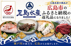 広島県 三島水産株式会社 冷凍塩干加工水産物及び食品類の卸売
