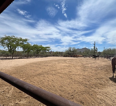 Arena at dreamcatcher healing ranch