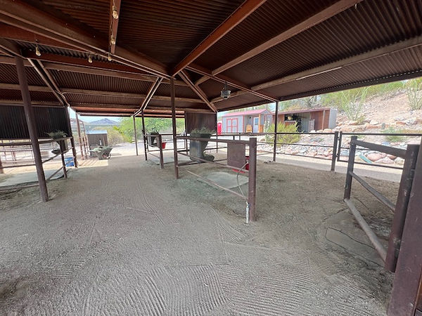 horse boarding in cave creek