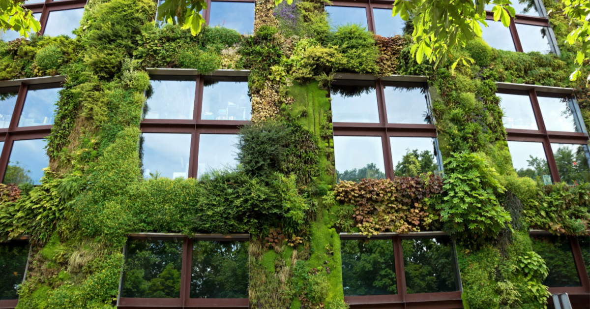 Elevated Facades