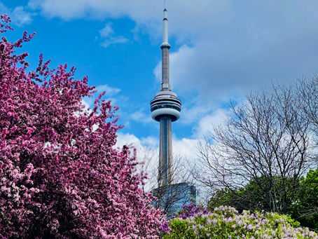  March Real Estate Market Report
