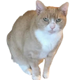 Tanjy_edited.png