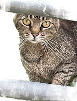 IMG_3196_edited.png