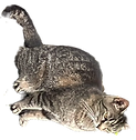 IMG_3195_edited.png