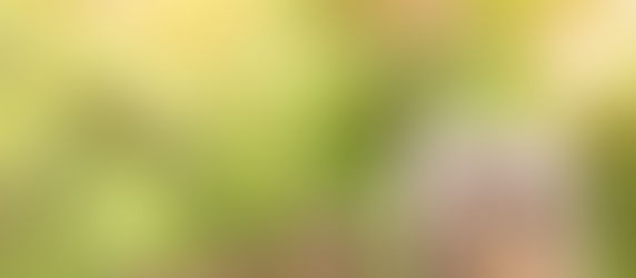 ¿Qué tan importante es realmente la riqueza material?