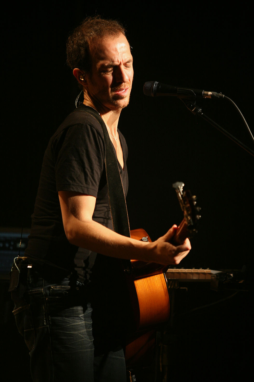 artiste concert spectacle calogero