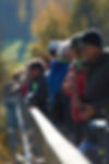 13-28_Diserens_N134170.jpg