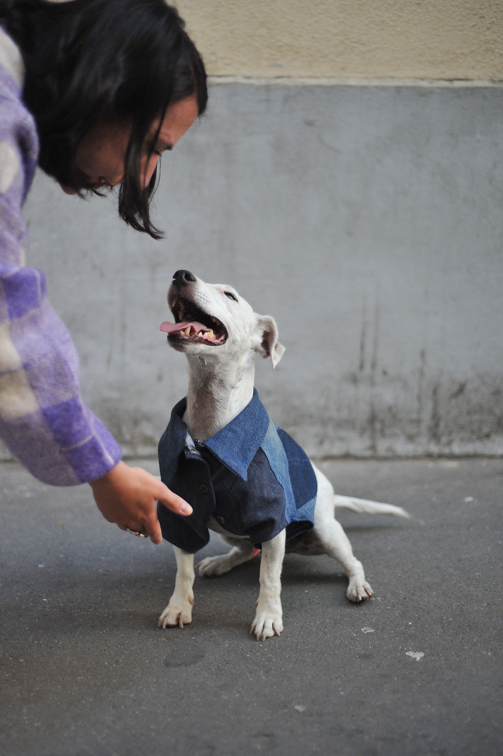 Thumbnail: MANTOUTOU JEAN PAUL SARTRE