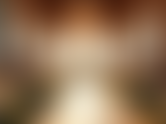 Explore Our Wedding Details and Guestbook Online