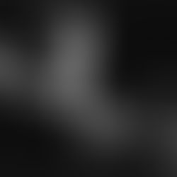 Matej Bor: Prijedlog za prisegu državnika