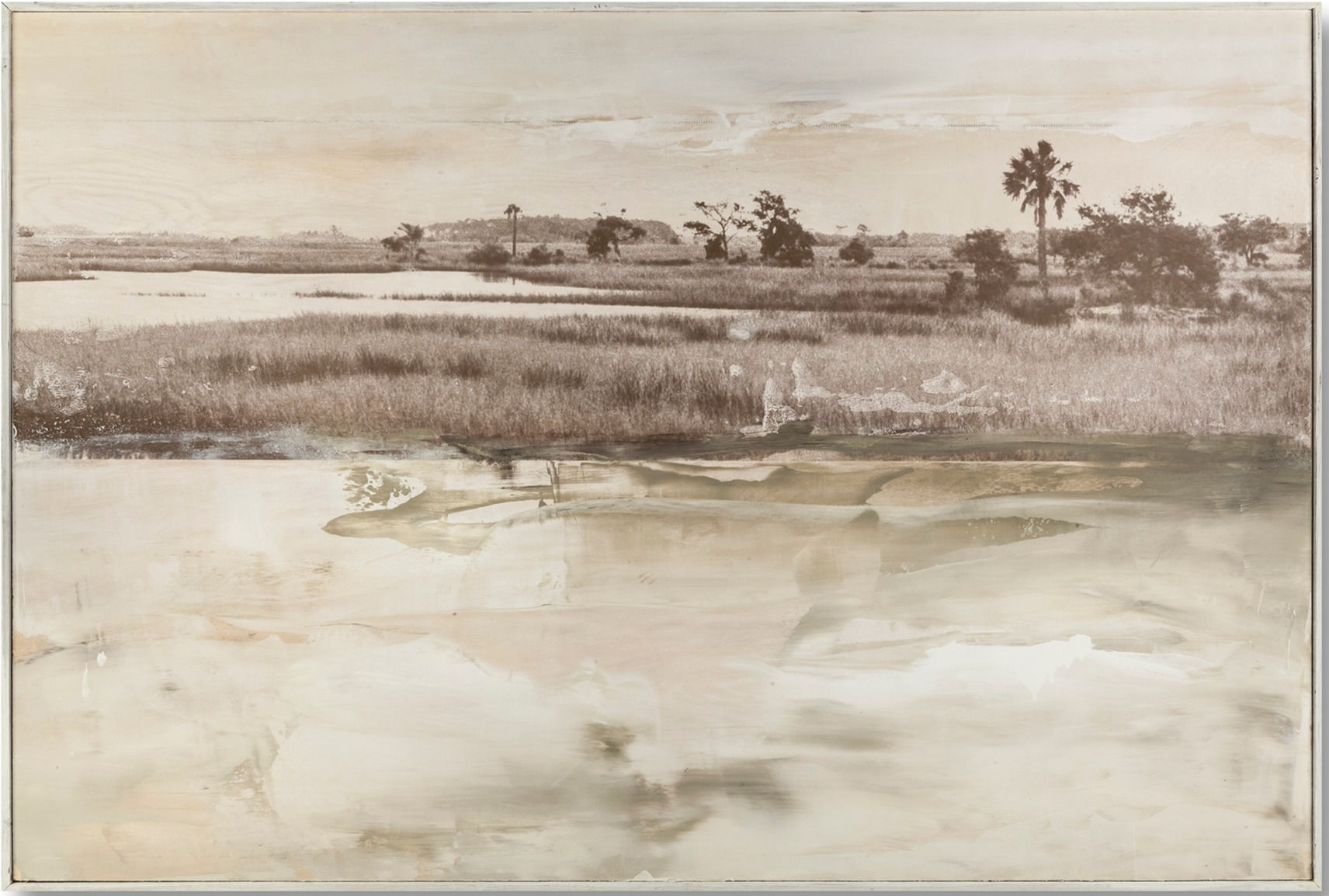 Umber Marsh Transfer