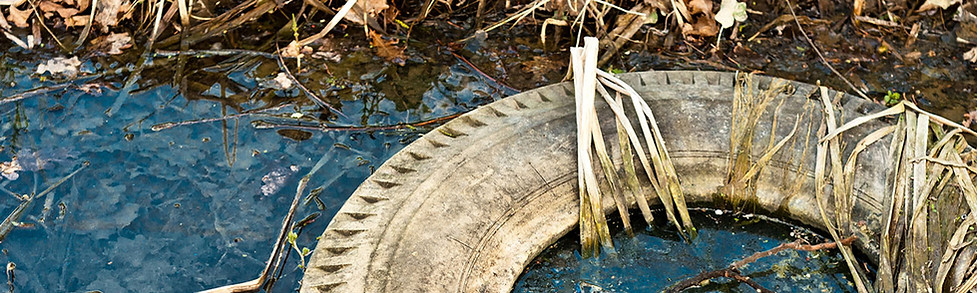 Polluted Stream