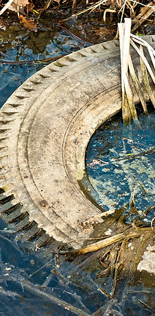 Polluted Stream