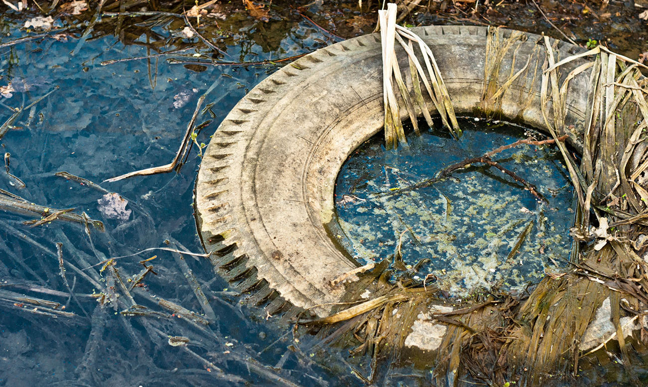 arroyo contaminado