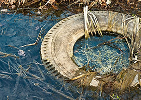 水中に捨てられたタイヤ