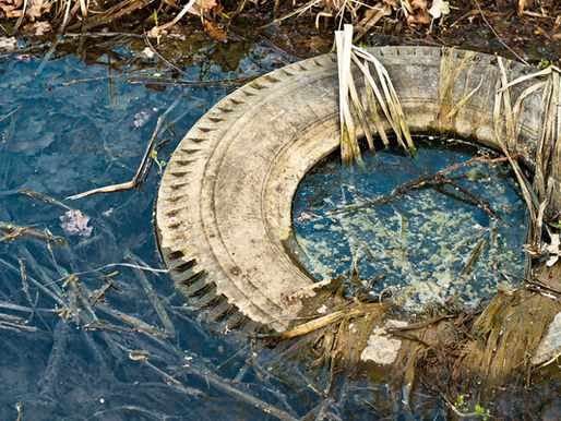 The World’s Battle Against Plastic and Why We Should Care