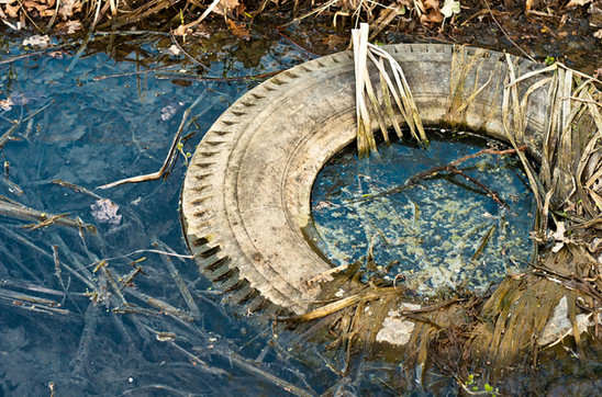 Polluted Stream