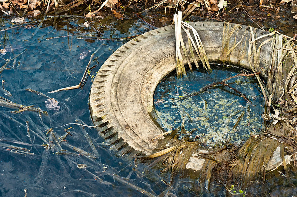 Discarded Tire in Water