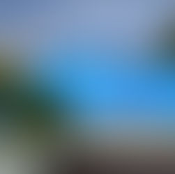 5 Roof Maintenance Tips for Hurricane Season