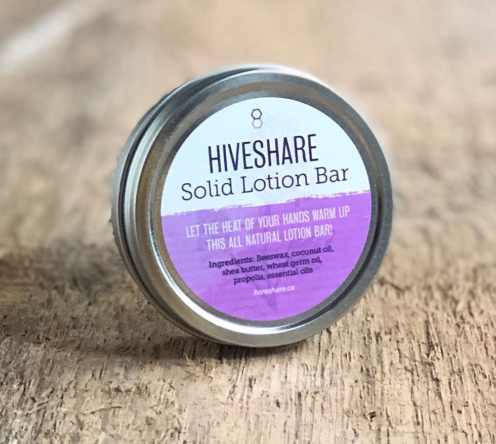 Image contains the closed round tin of solid lotion bar.