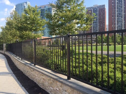 Newport Green Park 2