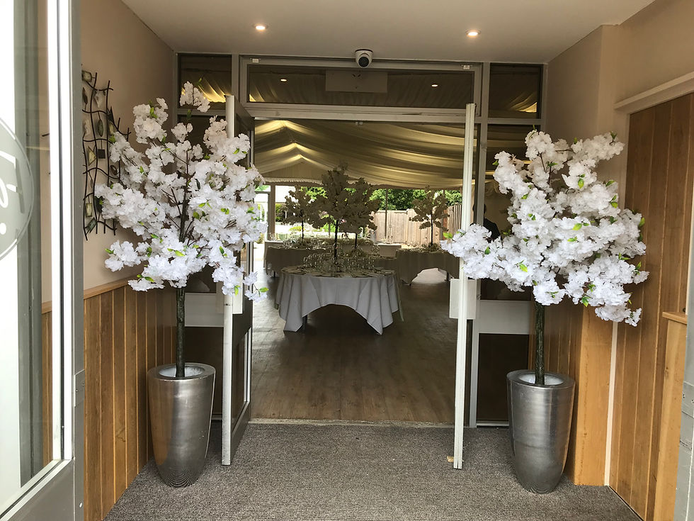Thumbnail: White Blossom trees for hire