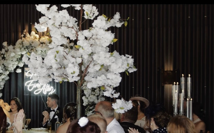 Thumbnail: White blossom trees for hire