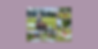 visuels bandeaux site (3).png