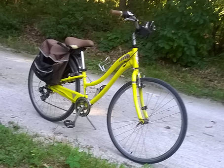 Road to Recovery-A Woman's Journey to Sobriety